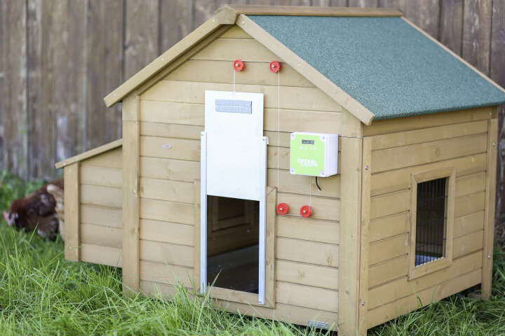 KERBL Automatische Hühnertür Komplett-Set inkl. Führungsschienen